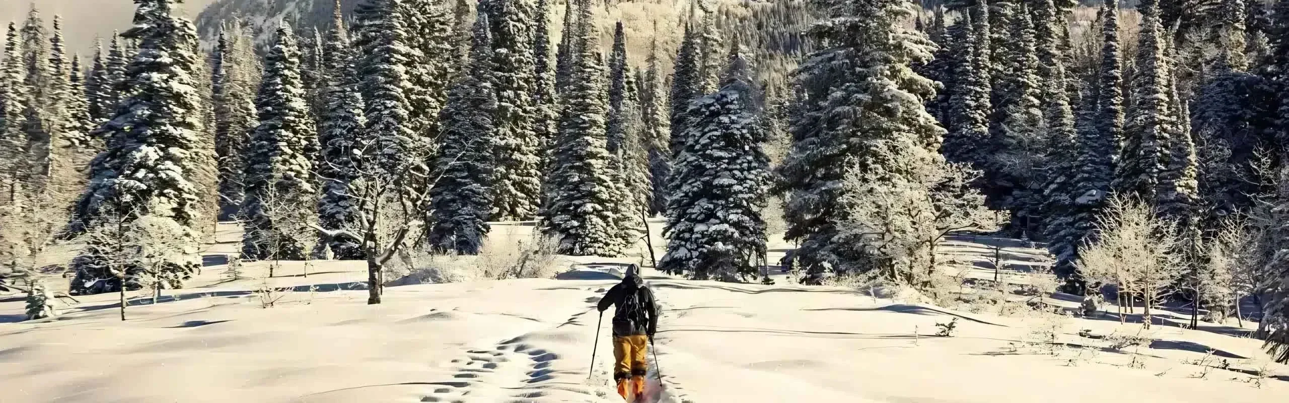 Sport'Alpes — Bonne — activités sportives