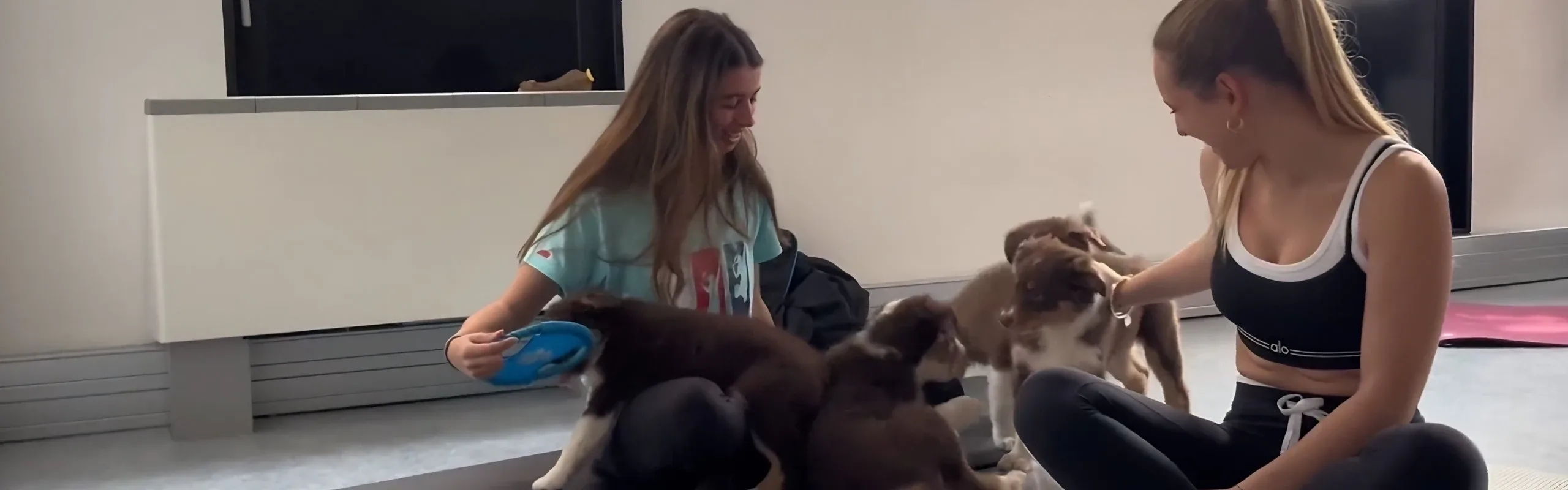 Puppy with Yoga — Grenoble — activités sportives