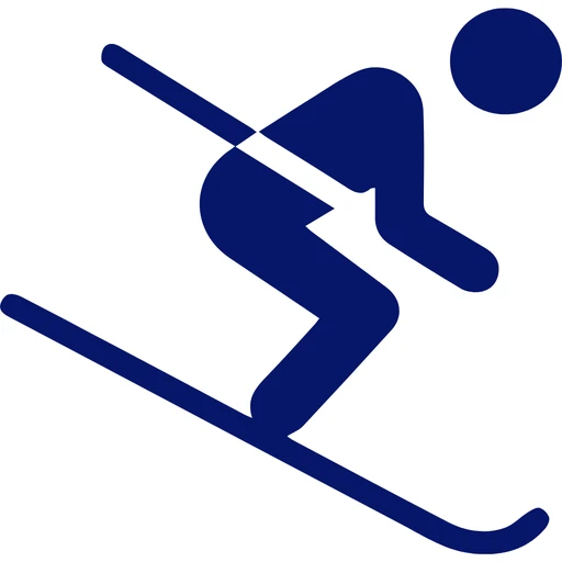 100% ski
