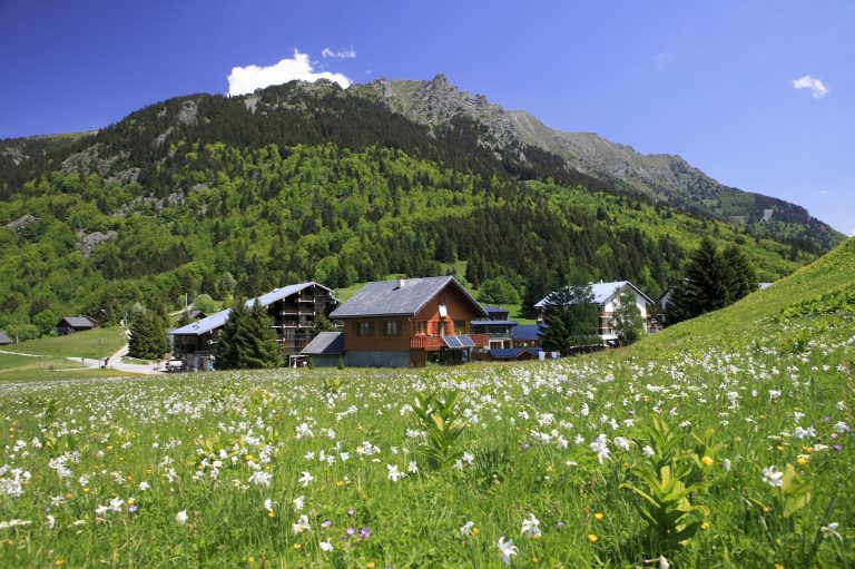 Quel sport faire à l’Alpe du Grand Serre ? Le guide des activités